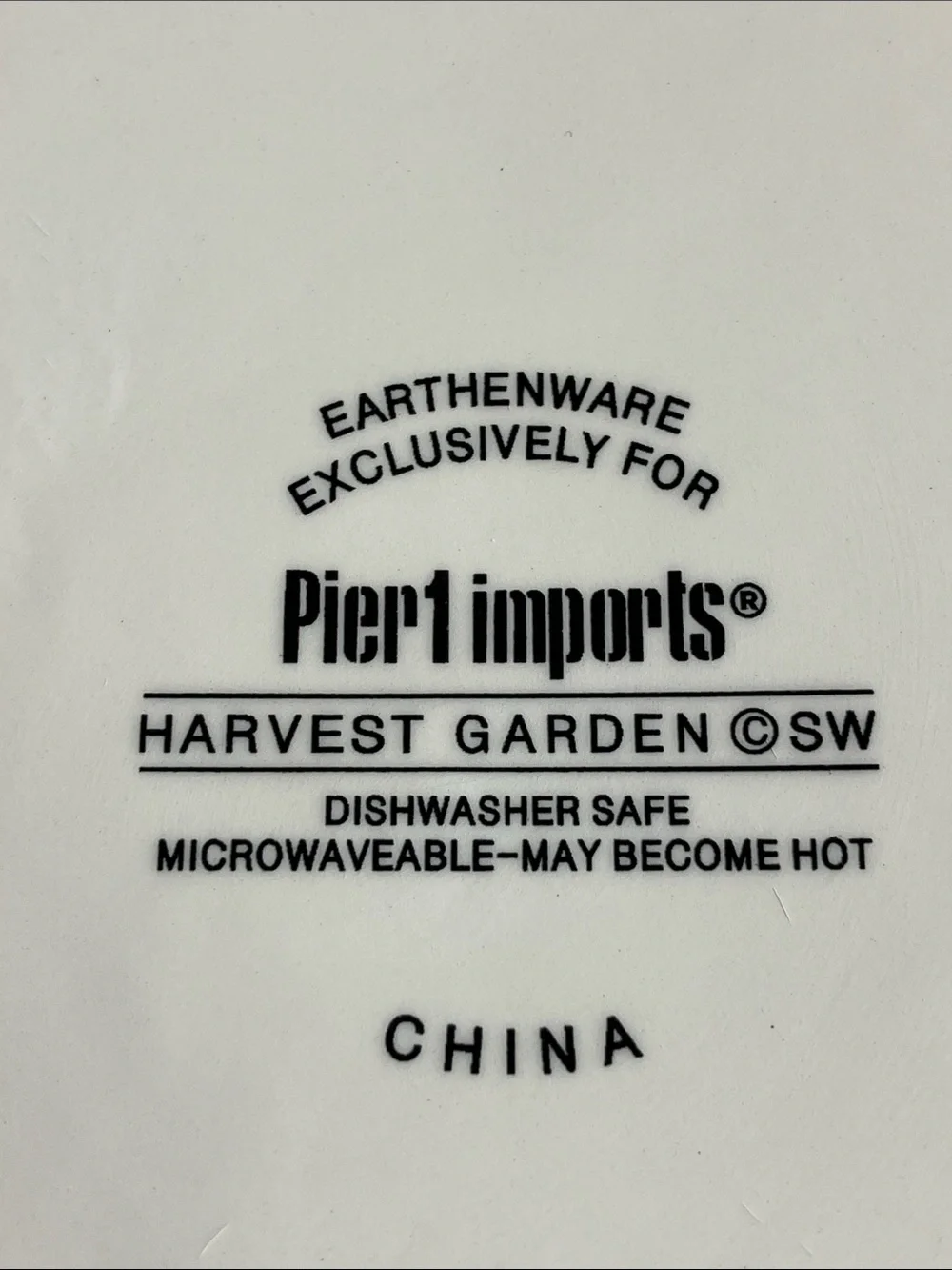 Pier 1 Harvest Garden 2 Dinner Plates 11